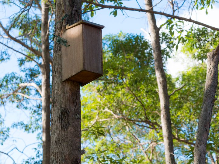 sustainability_minnippi_6